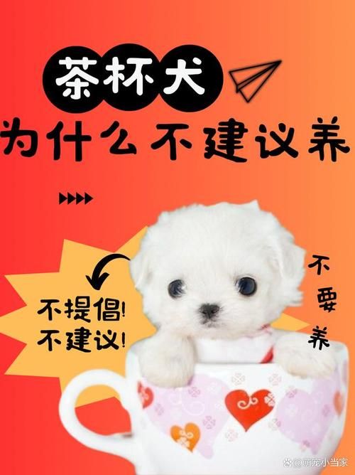 tap完全饲养常见问题解答 养不好看这里