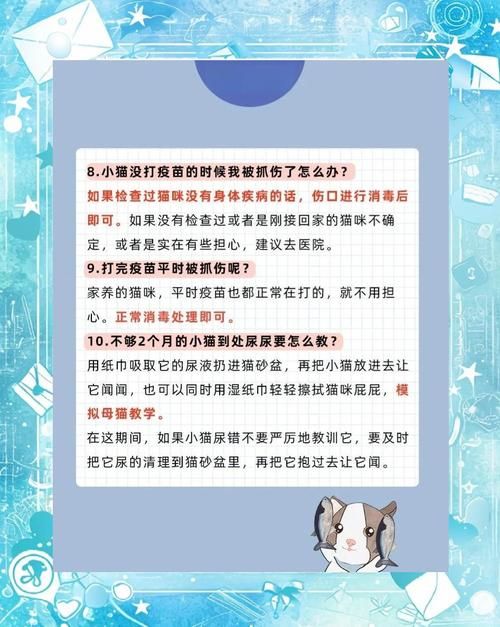 tap完全饲养常见问题解答 养不好看这里