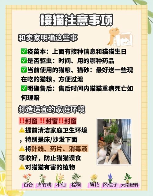 tap完全饲养常见问题解答 养不好看这里