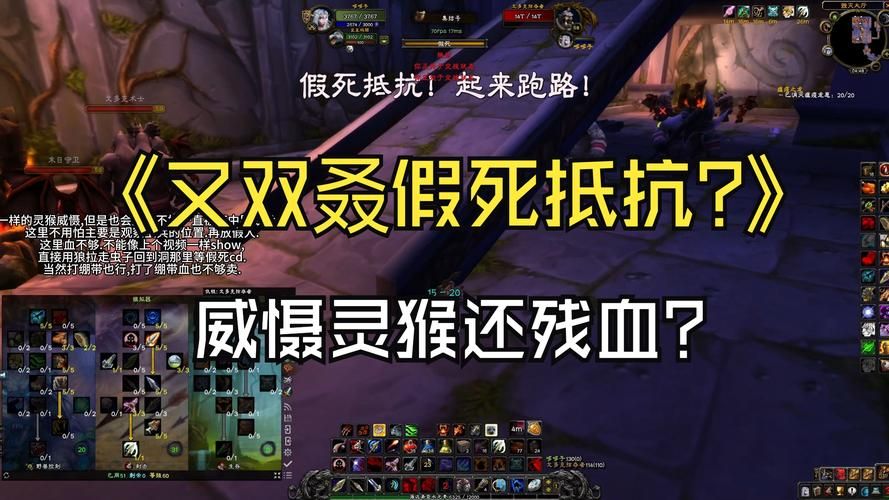 tbc猎人假死宏怎么设置 猎人假死宏命令分享