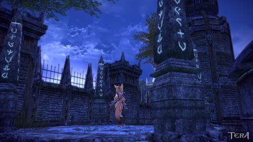 tera国服官网地址在哪 快速进入官网的方法分享