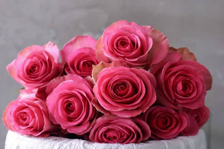 vividred是什么颜色这种红色太惊艳了