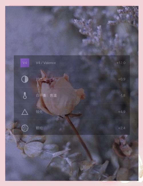 vsco调色教程大公开 教你调出网红同款滤镜效果