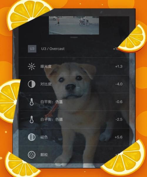vsco调色教程大公开 教你调出网红同款滤镜效果