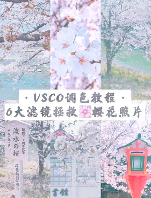 vsco调色教程大公开 教你调出网红同款滤镜效果