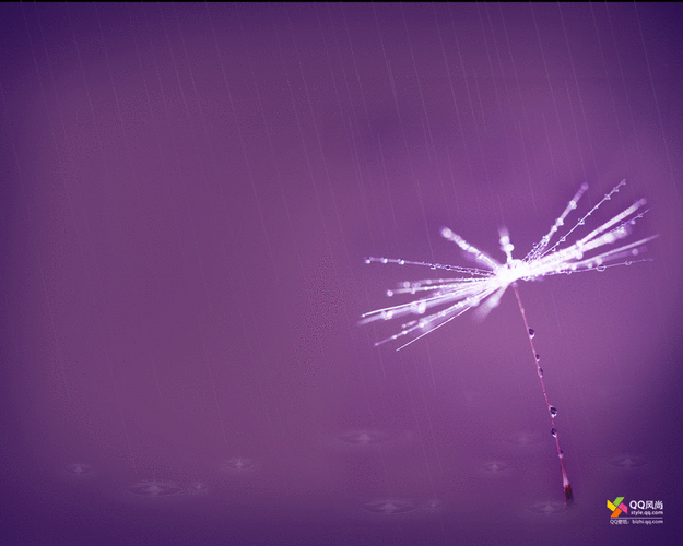 win7动态主题怎么设置 详细步骤一看就会