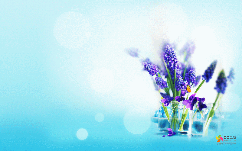 win7动态主题怎么设置 详细步骤一看就会