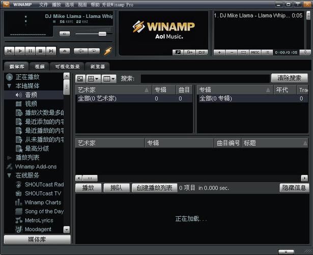 winamp皮肤安装指南 解决皮肤无法显示的常见问题
