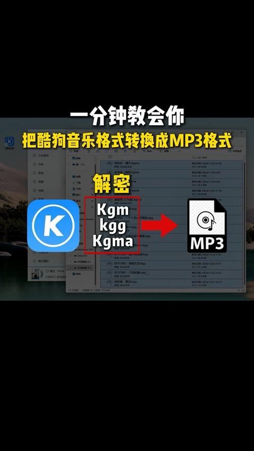 wma格式转换器哪个好用 快速转换音频格式就选它