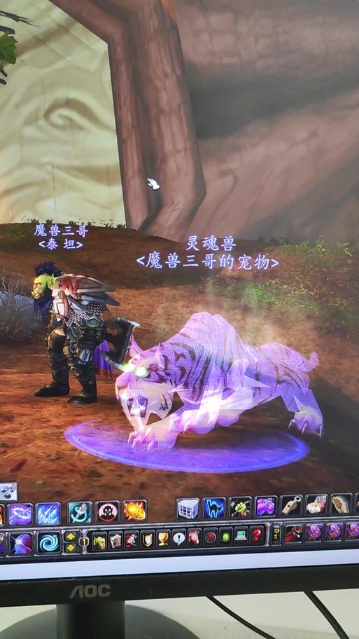 wowlr灵魂兽属性解析 为什么它是最强战斗伙伴