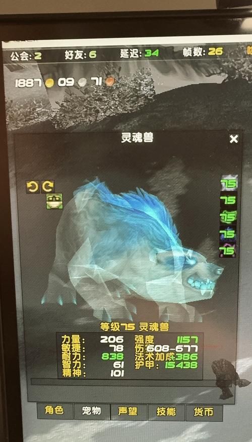 wowlr灵魂兽属性解析 为什么它是最强战斗伙伴