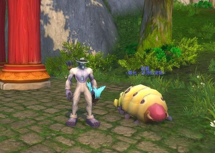 wow刀疤怎么抓 详细攻略带你快速入手刀疤