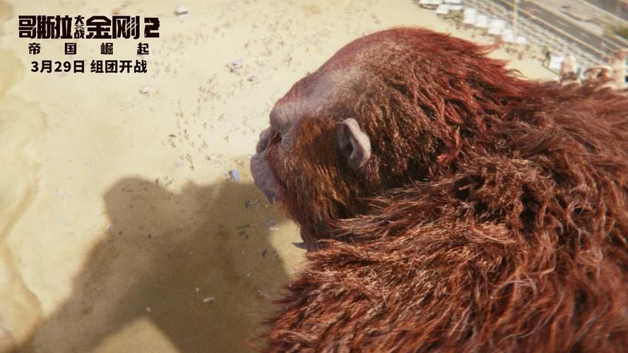 wow刀疤怎么抓 详细攻略带你快速入手刀疤