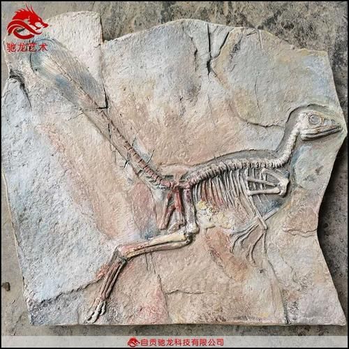 wow化石迅猛龙外观展示 迅猛龙化石坐骑好看吗