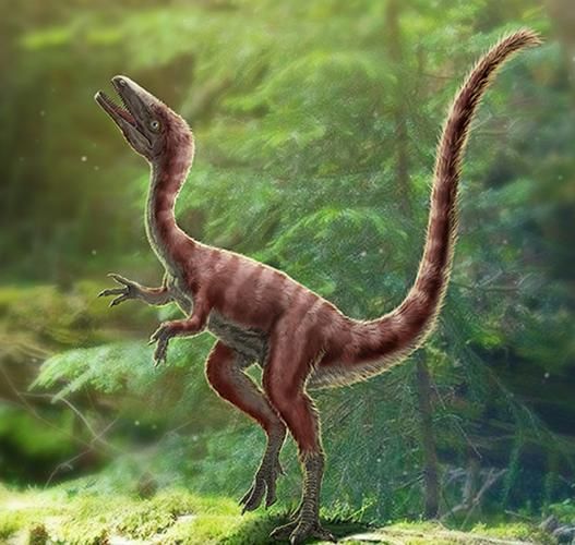 wow化石迅猛龙外观展示 迅猛龙化石坐骑好看吗