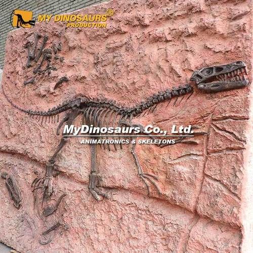 wow化石迅猛龙外观展示 迅猛龙化石坐骑好看吗