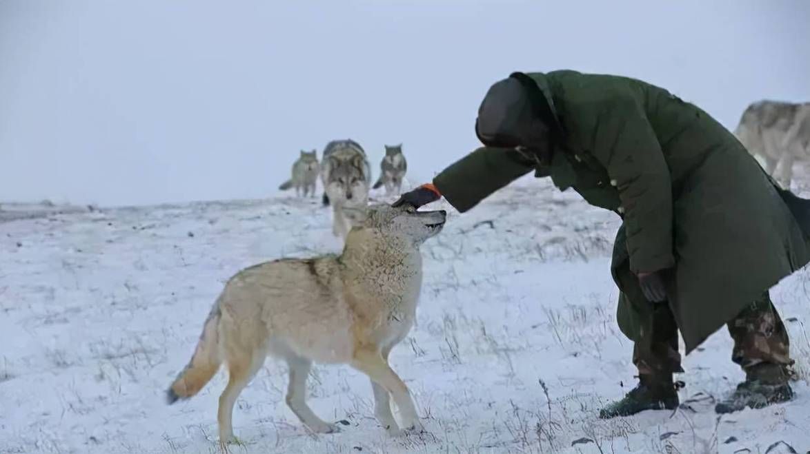 wow战士的拥抱怎么获得以及使用心得分享