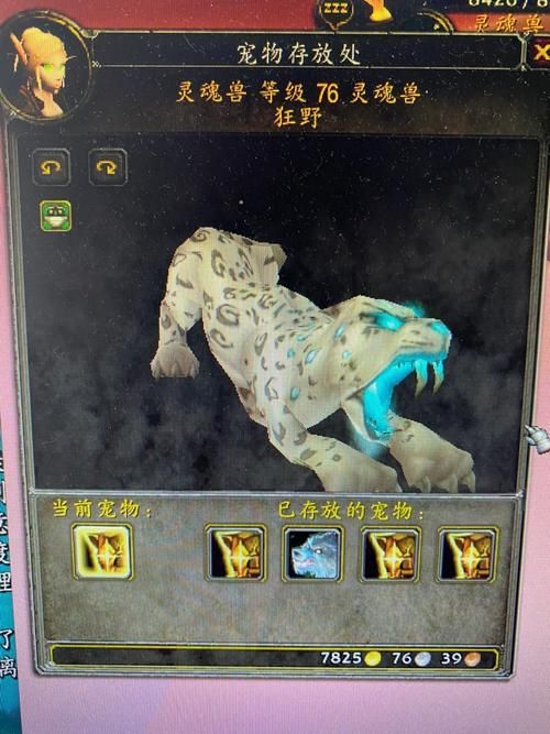 wow灵魂兽坐标攻略 轻松找到稀有灵魂兽