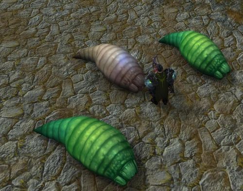 wow贪吃的蛆虫有什么用 详细作用解析
