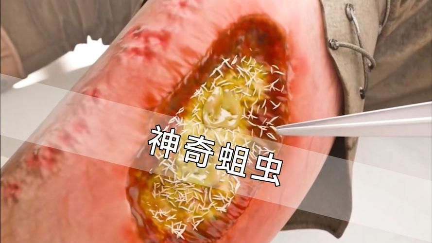 wow贪吃的蛆虫有什么用 详细作用解析