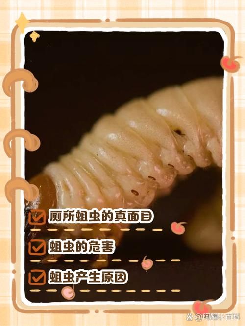 wow贪吃的蛆虫有什么用 详细作用解析