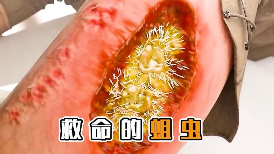 wow贪吃的蛆虫有什么用 详细作用解析