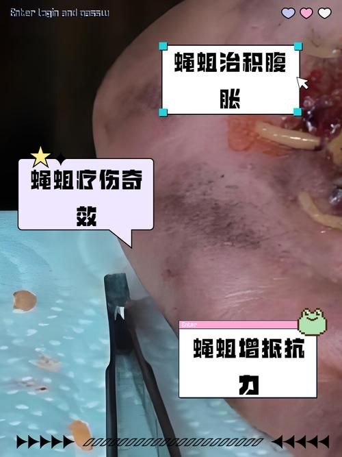 wow贪吃的蛆虫有什么用 详细作用解析