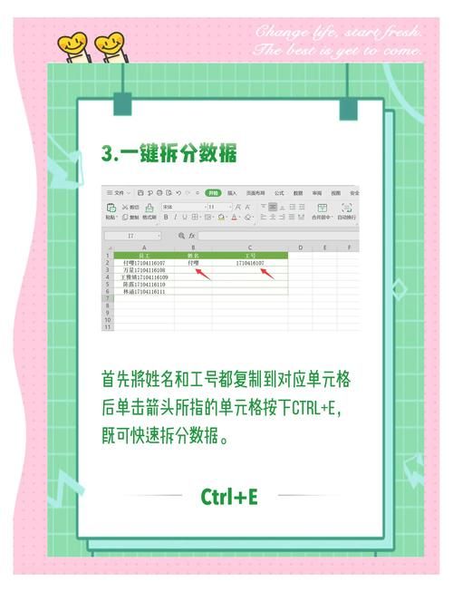 wps表格怎么做详细步骤图解手把手教你