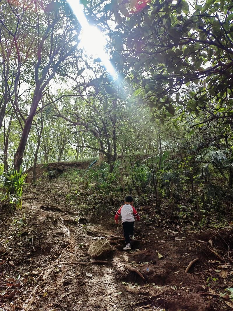 xp13.com有哪些功能 全面解析这个网站的特色