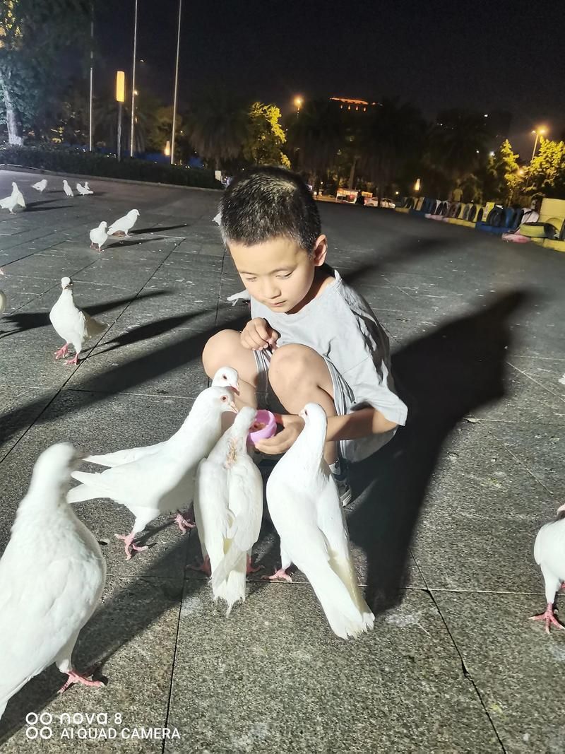 xp13.com有哪些功能 全面解析这个网站的特色