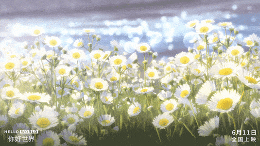 xp动态桌面壁纸有哪些 这些免费资源不容错过