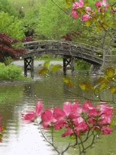 xp动态桌面壁纸有哪些 这些免费资源不容错过