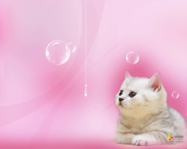 xp动态桌面壁纸有哪些 这些免费资源不容错过