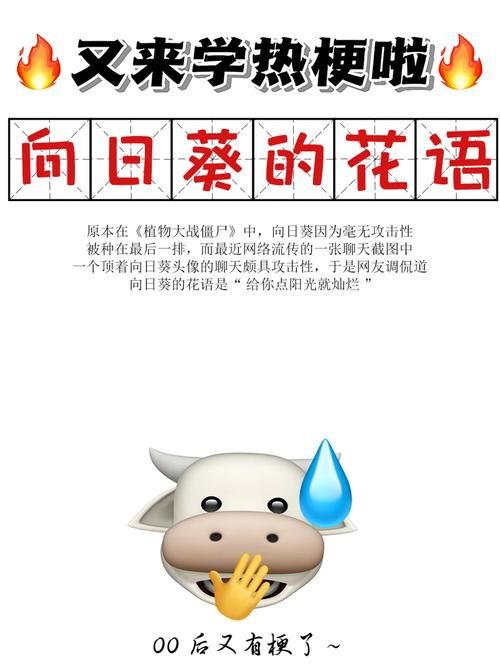 xswl什么意思年轻人都在用的流行语