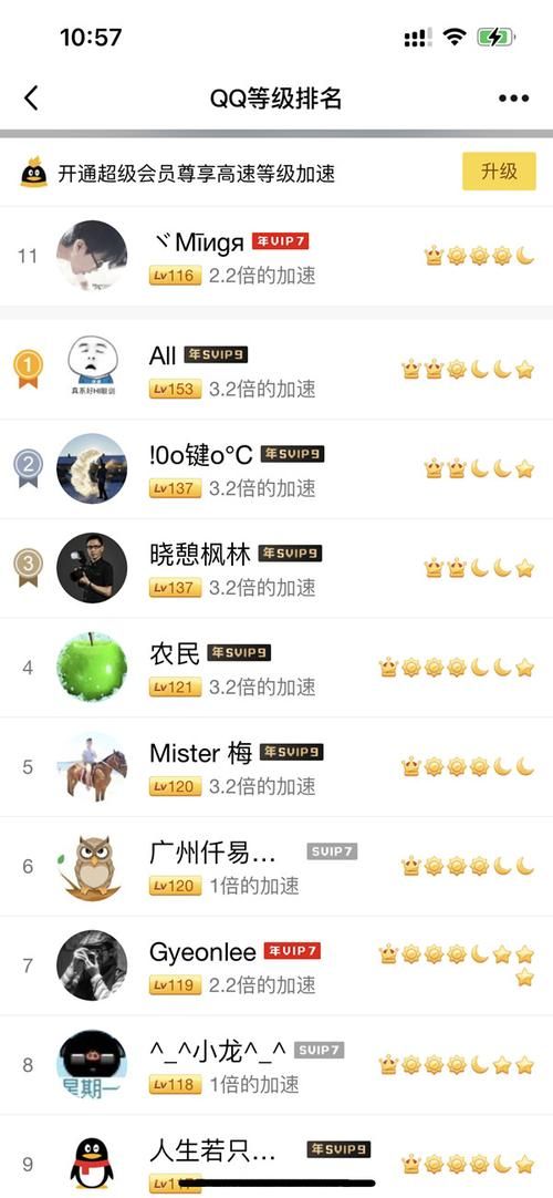 yy多少级是皇冠 了解yy等级与皇冠的关系