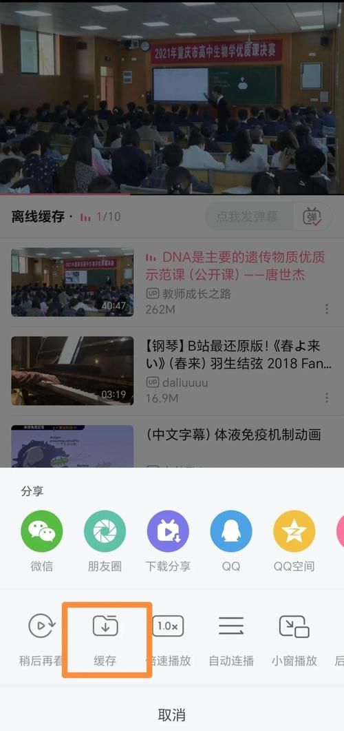 zhanqitv下载安装教程 手机电脑都能看