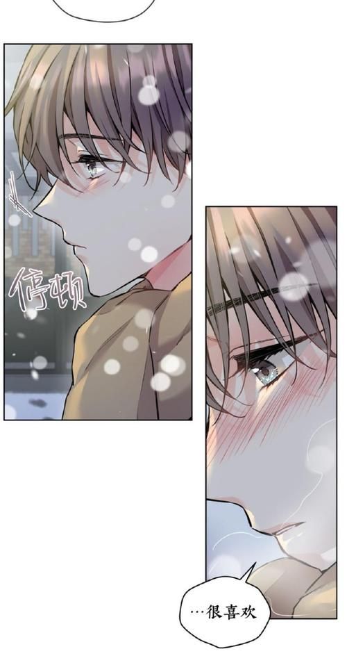 一王九帅十二宫4全集阅读 完整故事一次看个够