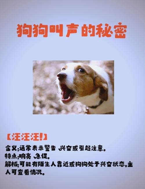 一直就在你的耳边 这些声音背后的秘密