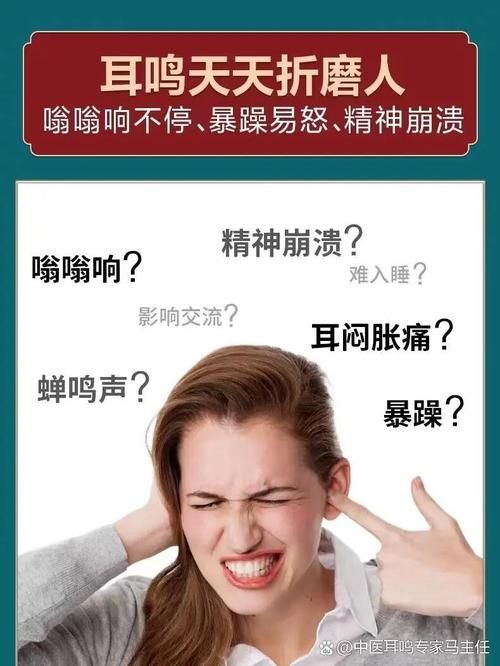 一直就在你的耳边 这些声音背后的秘密