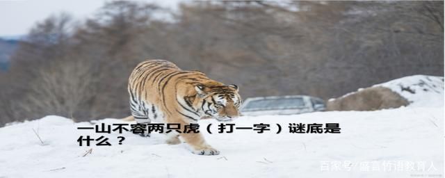 一石二鸟打一数字谜底揭晓 原来这么简单