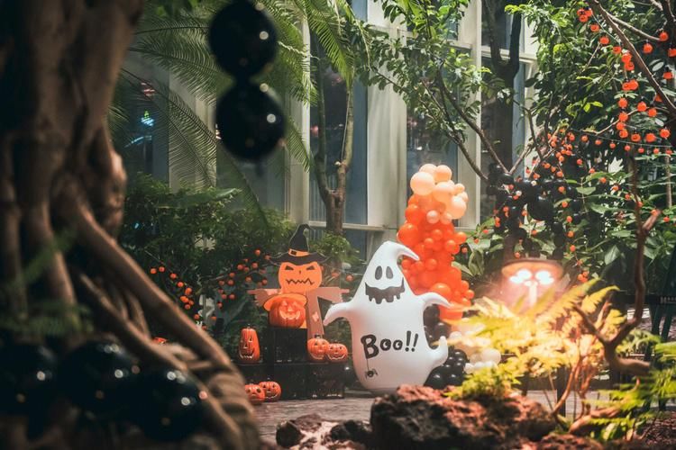 万圣节南瓜妖在哪活动 参与南瓜妖的奇幻之旅