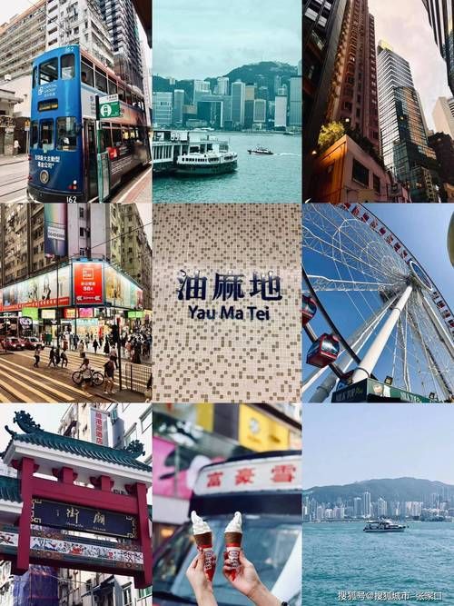 万里平台香港会场最新活动安排与参与指南