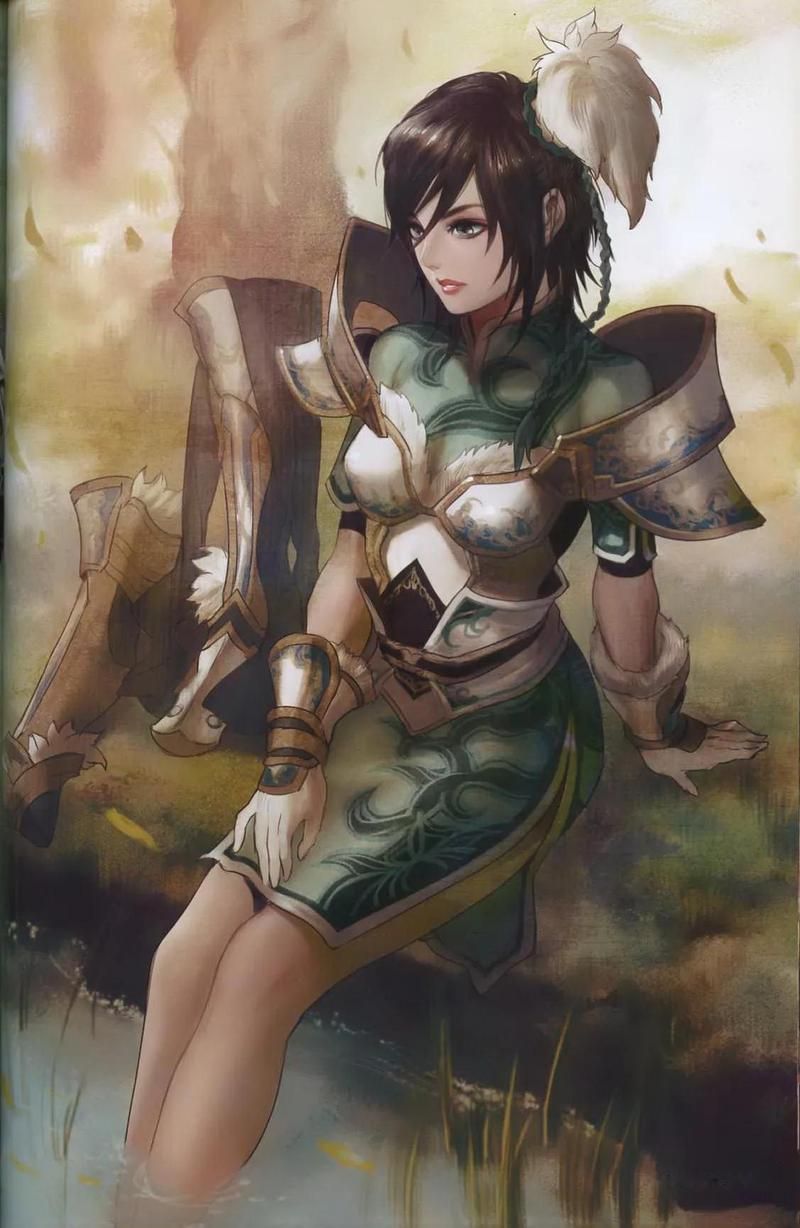 三国梦想星彩无惨动画化消息曝光粉丝必看