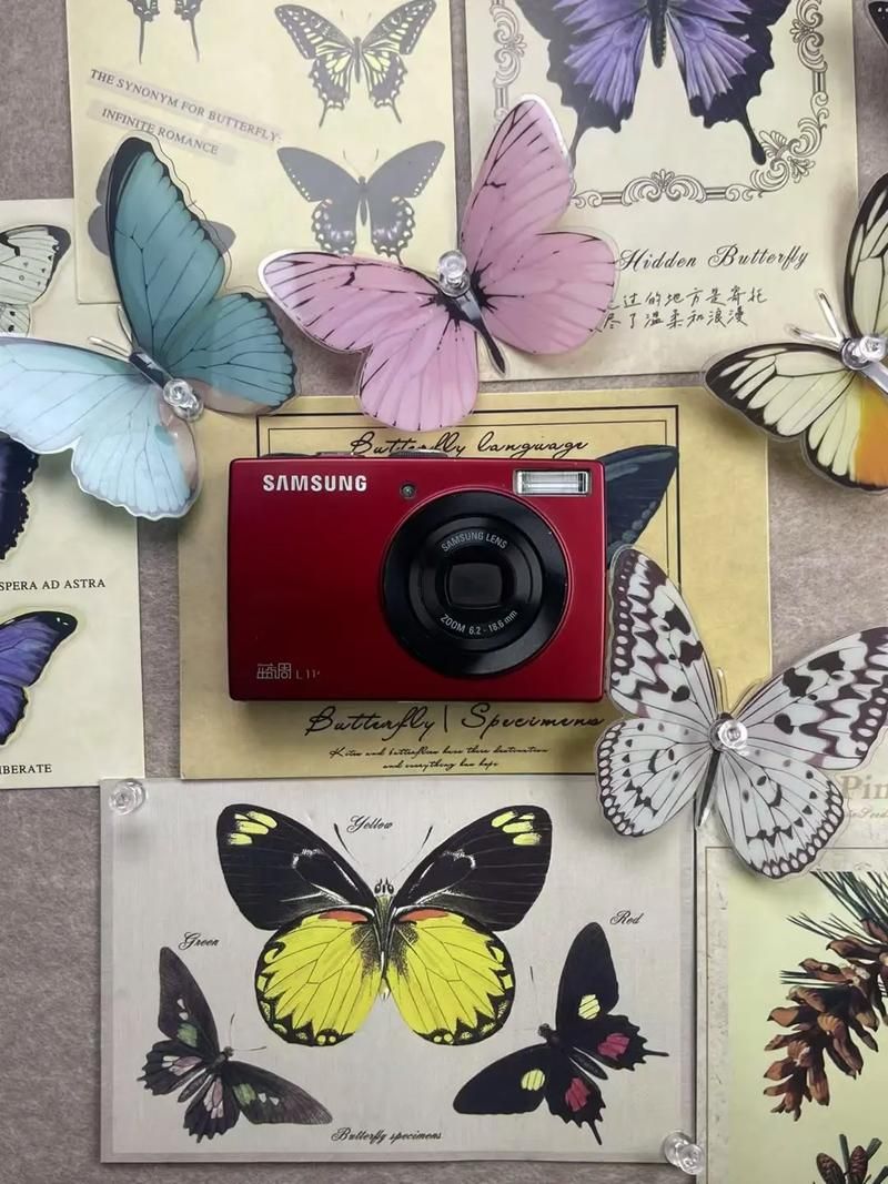 三星蓝调l110参数配置详细解析