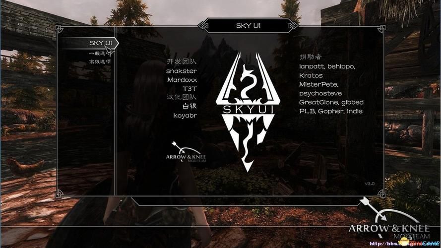 上古卷轴5字幕太小怎么办 调整字幕大小方法