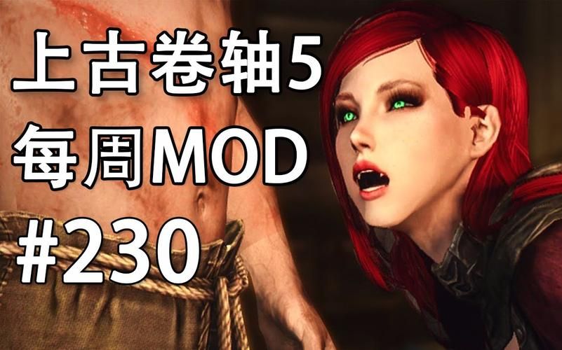 上古卷轴5字幕太小怎么办 调整字幕大小方法