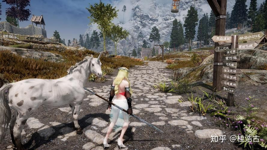 上古卷轴5画质设置技巧 让你的游戏更真实