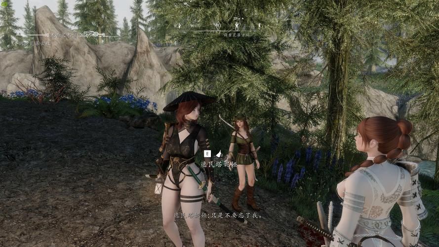 上古卷轴5画质设置技巧 让你的游戏更真实