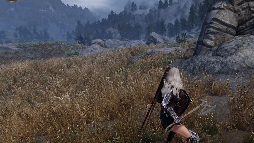 上古卷轴5画质设置技巧 让你的游戏更真实