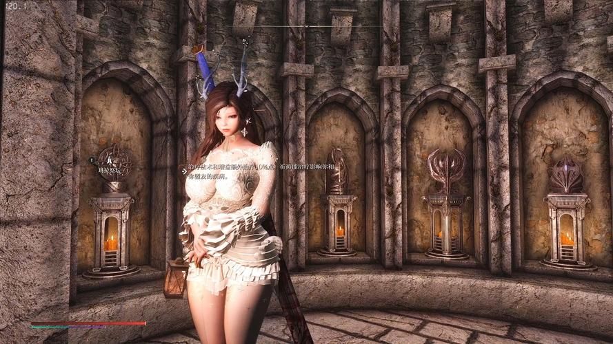 上古卷轴5跳出闪退怎么办 常见问题一网打尽